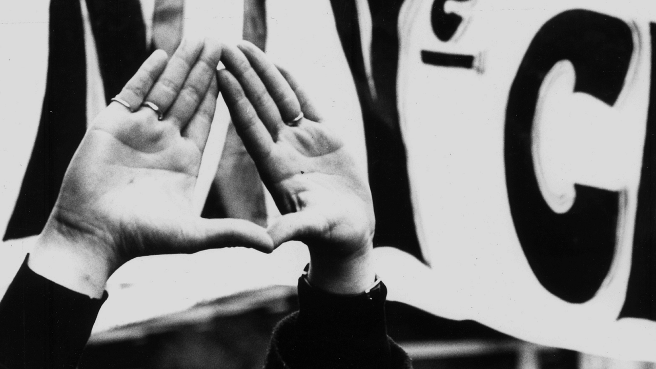 El entusiasmo : Foto