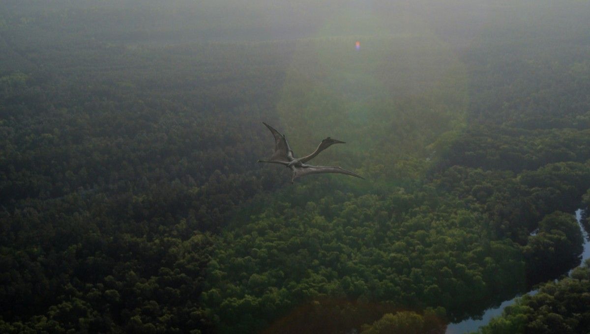 Planeta Prehistórico : Foto