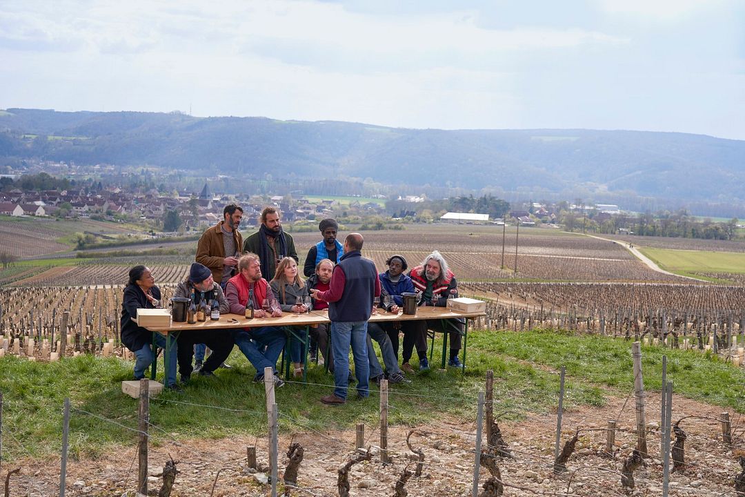 Cata de vinos : Foto
