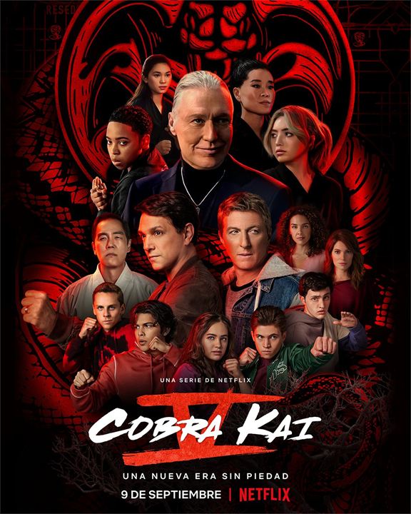 Cobra Kai : Cartel