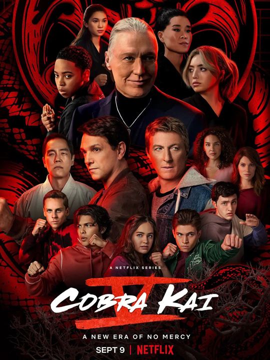 Cobra Kai : Cartel