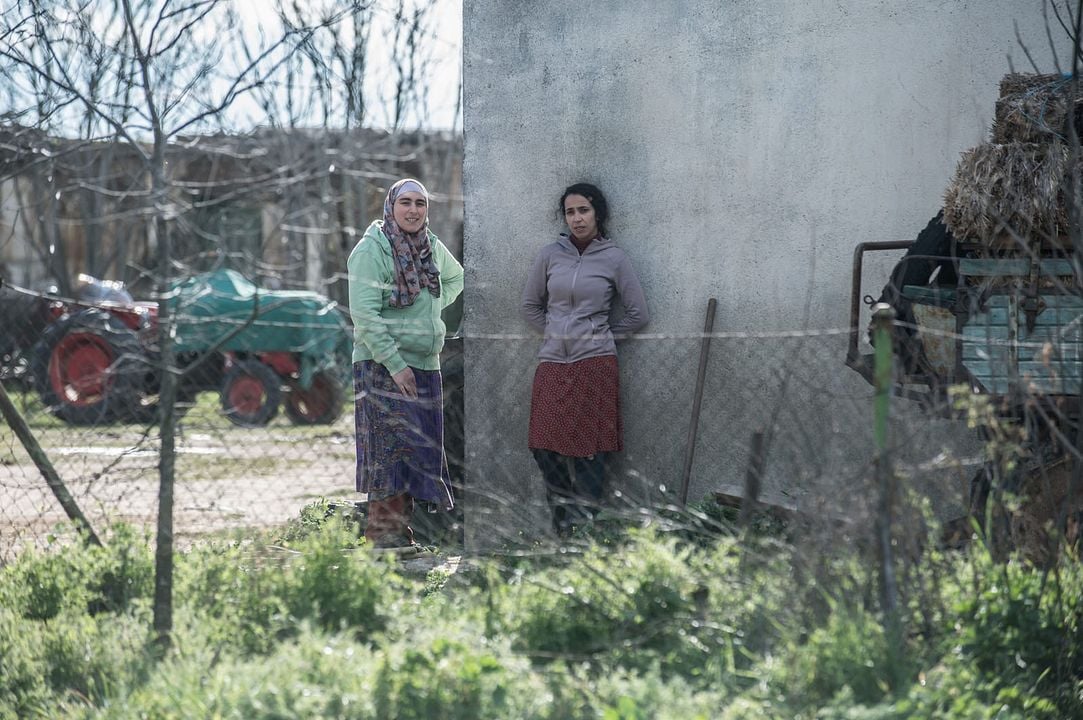 Apagón : Foto Sofia El Bouanani