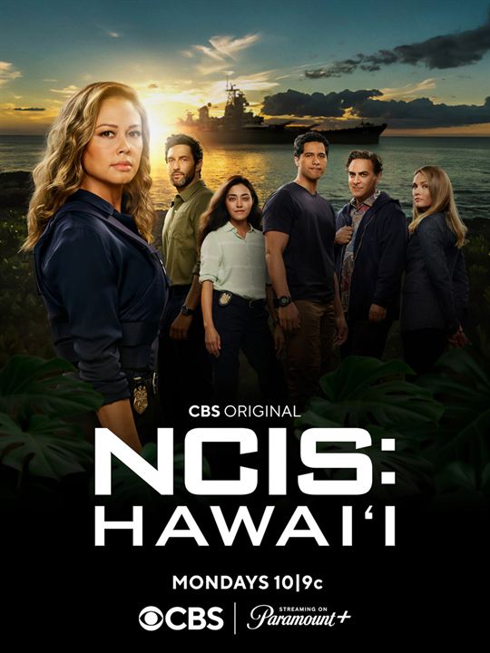 NCIS: Hawái : Cartel