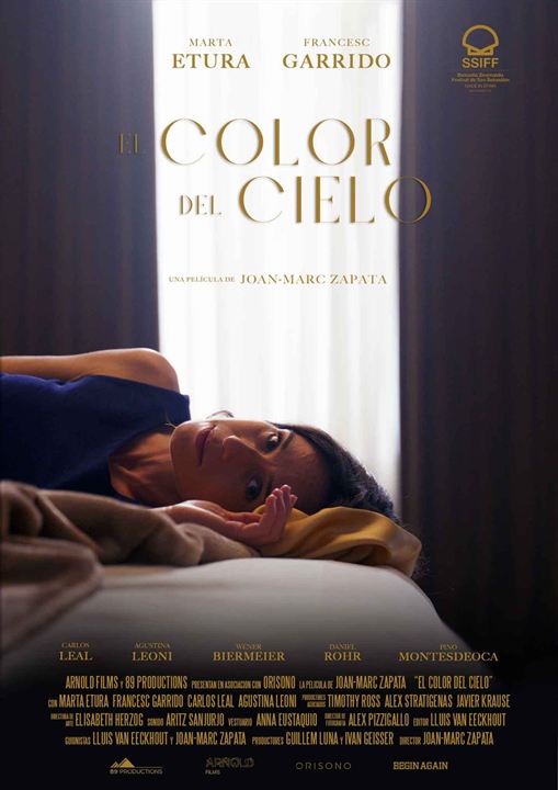 El color del cielo : Cartel