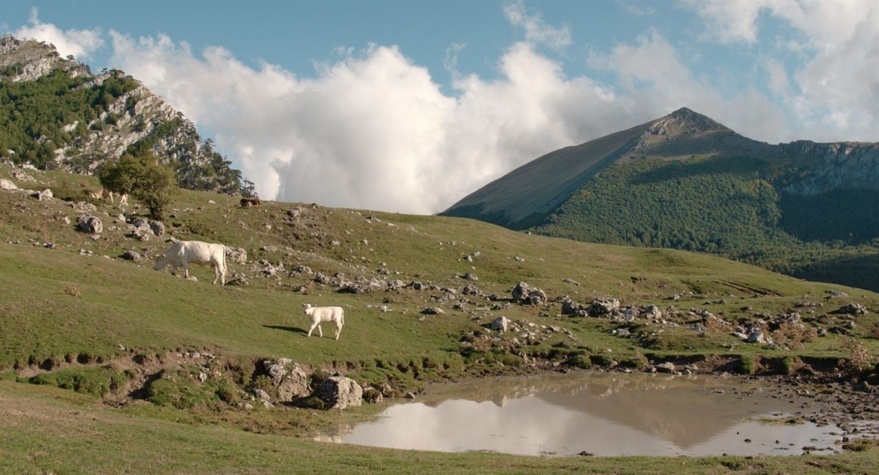 Il buco : Foto