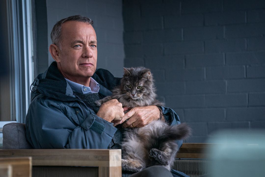 El peor vecino del mundo : Foto Tom Hanks