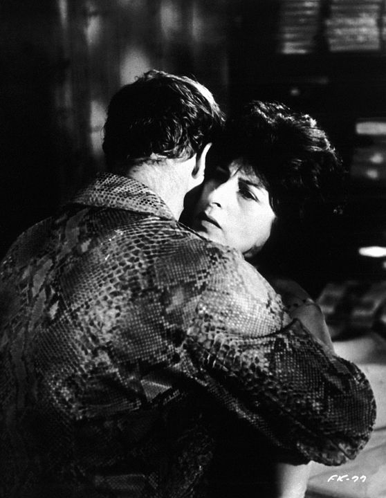 Piel de serpiente : Foto