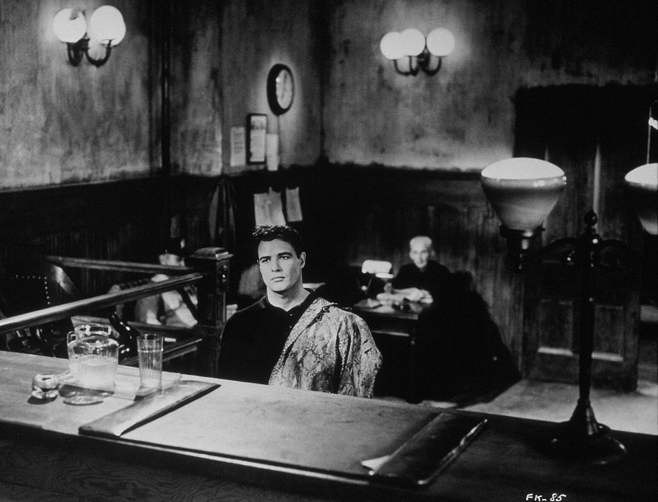 Piel de serpiente : Foto