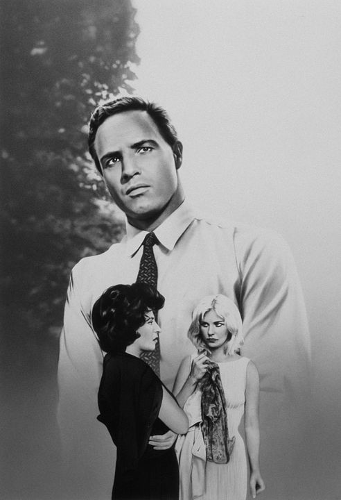 Piel de serpiente : Foto