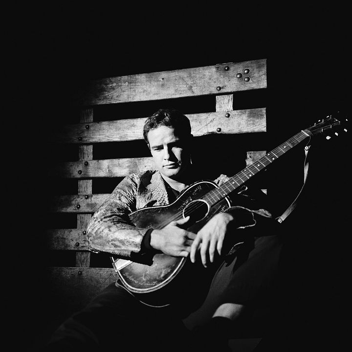 Piel de serpiente : Foto