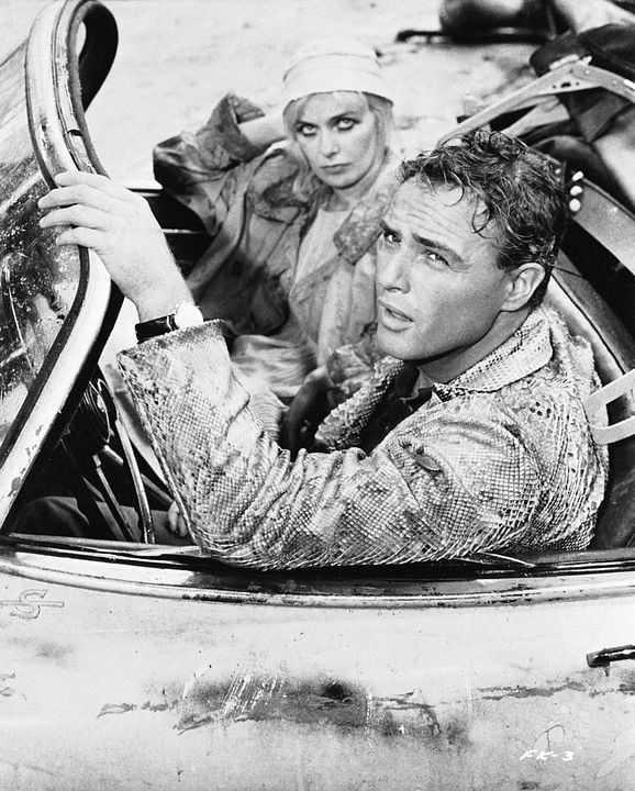 Piel de serpiente : Foto