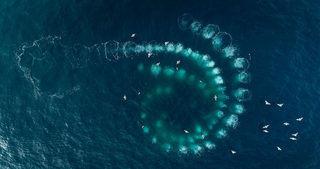 Las guardianas del planeta : Foto