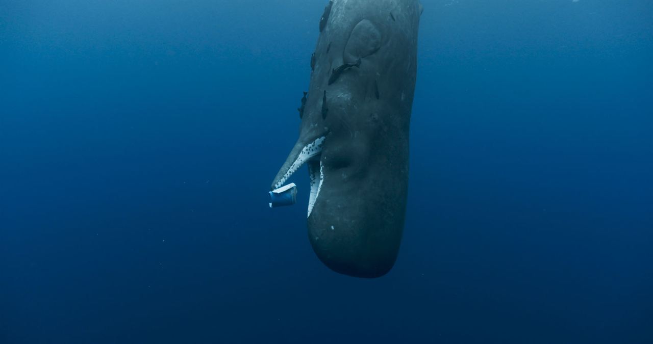 Las guardianas del planeta : Foto