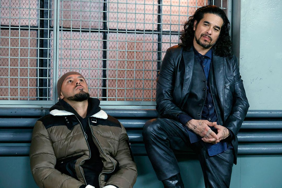 Ley y Orden: crimen organizado : Foto