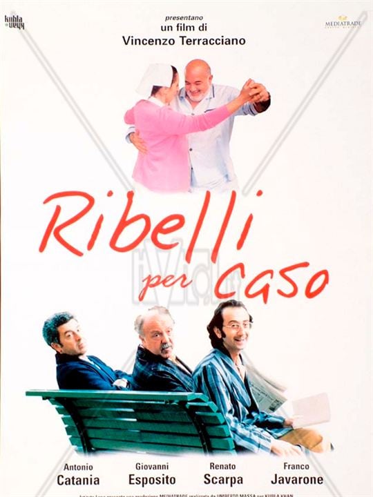 Ribelli per caso : Cartel