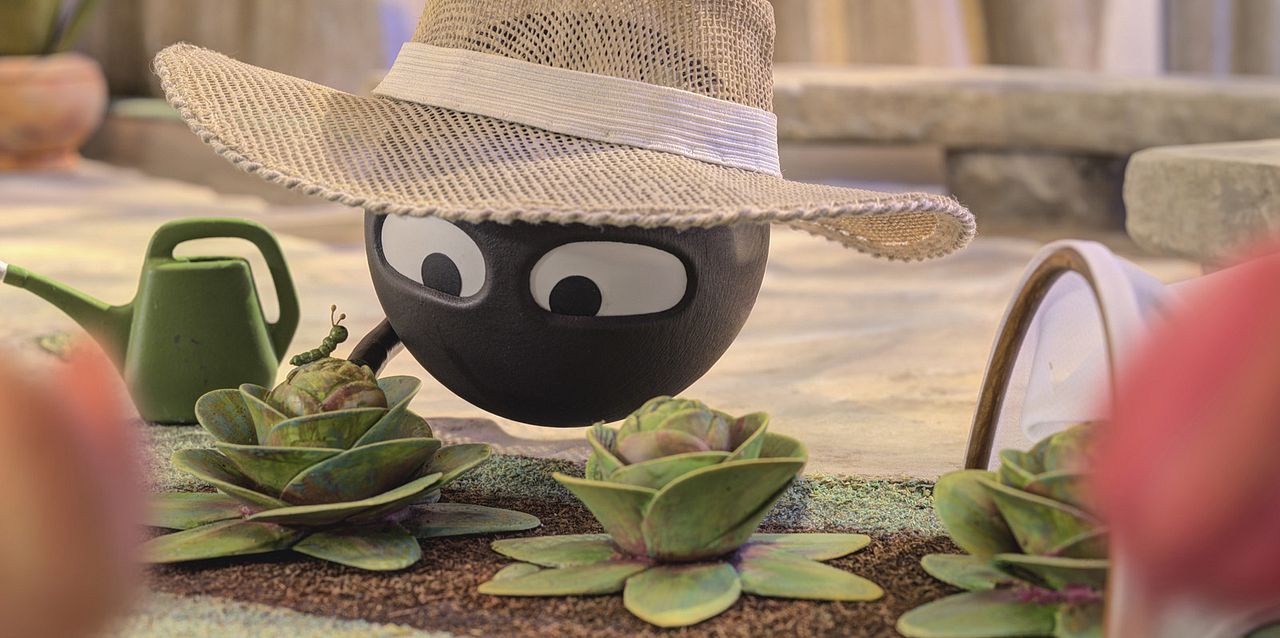 La isla de las formas : Foto