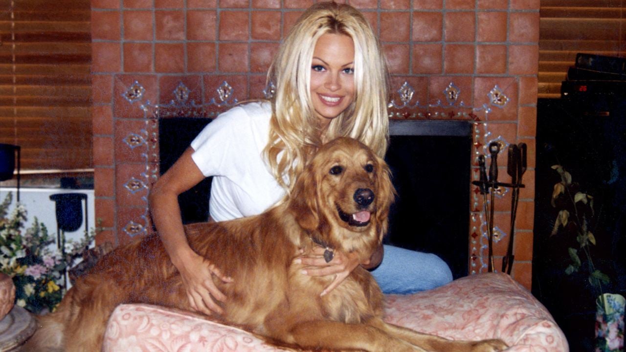 Pamela Anderson: Una historia de amor : Foto Pamela Anderson