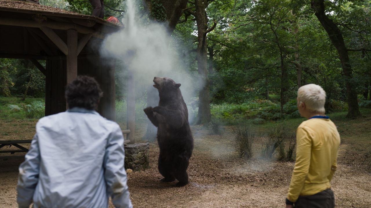 Oso vicioso : Foto Aaron Holliday, Alden Ehrenreich