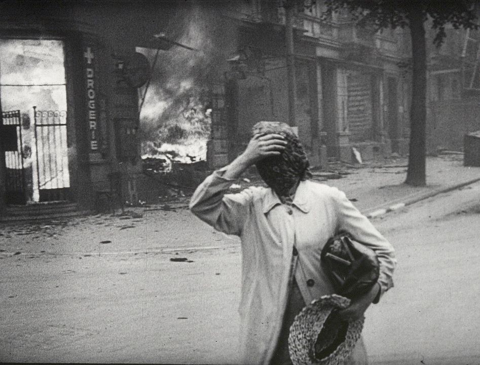 Sobre la historia natural de la destrucción : Foto