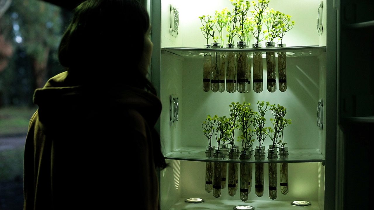 Trenque Lauquen parte II : Foto