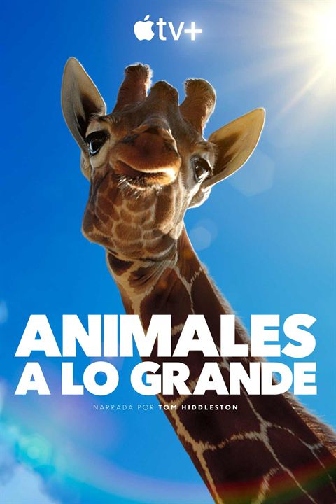 Animales a lo grande : Cartel