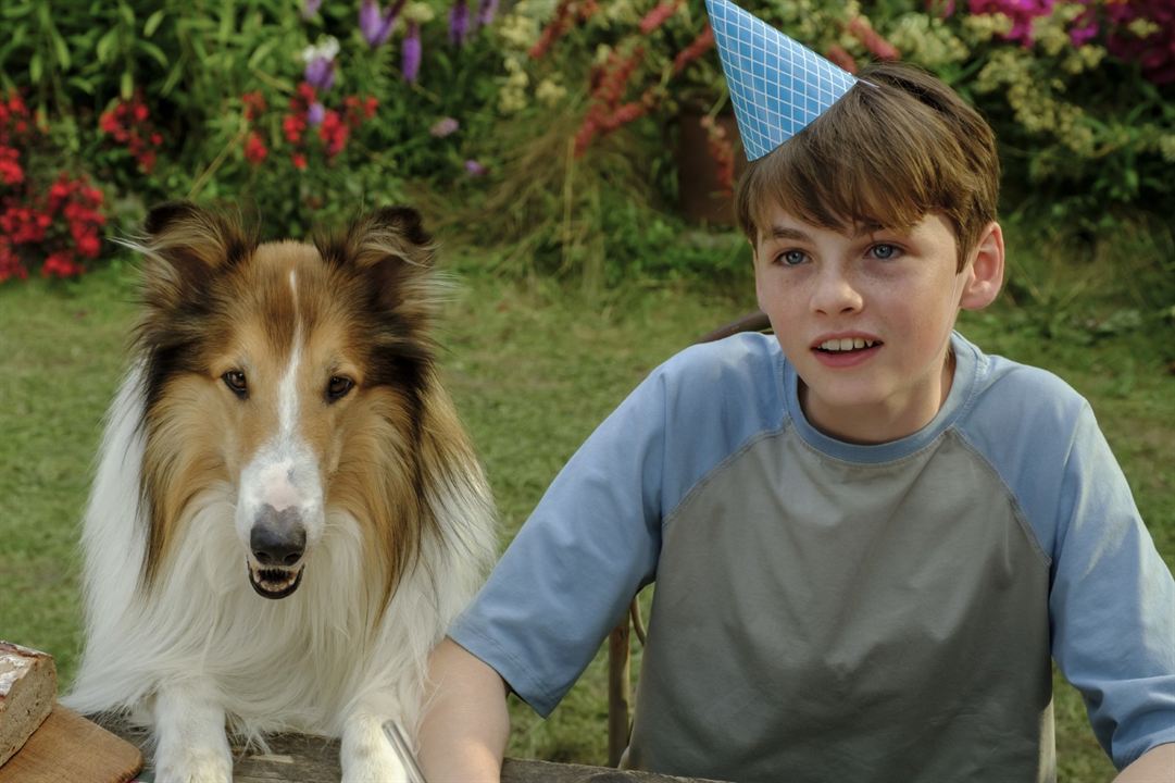 Foto De La Película Lassie Una Nueva Aventura Foto 46 Por Un Total De 49 1804