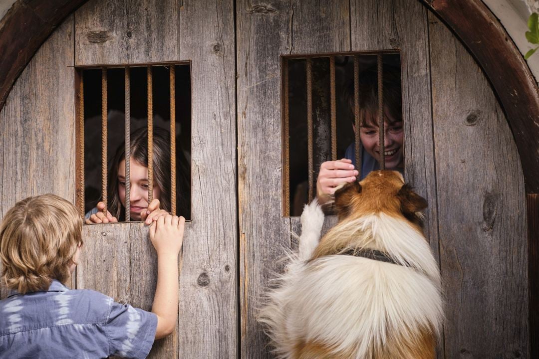 Lassie (Una nueva aventura) : Foto Anna Lucia Gualano, Nico Marischka, Pelle Staacken