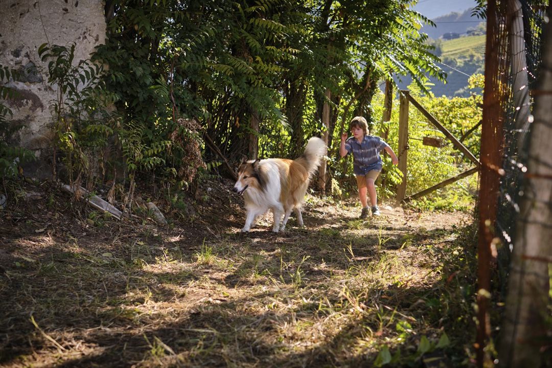 Lassie (Una nueva aventura) : Foto Pelle Staacken