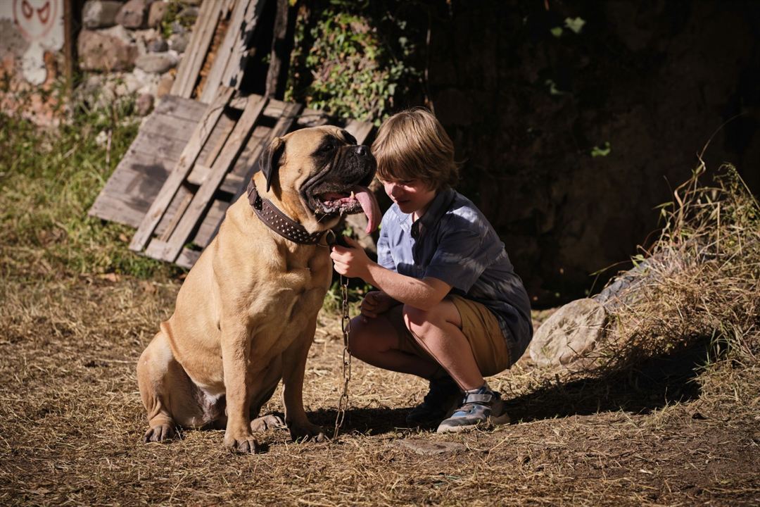 Lassie (Una nueva aventura) : Foto Pelle Staacken, Nico Marischka