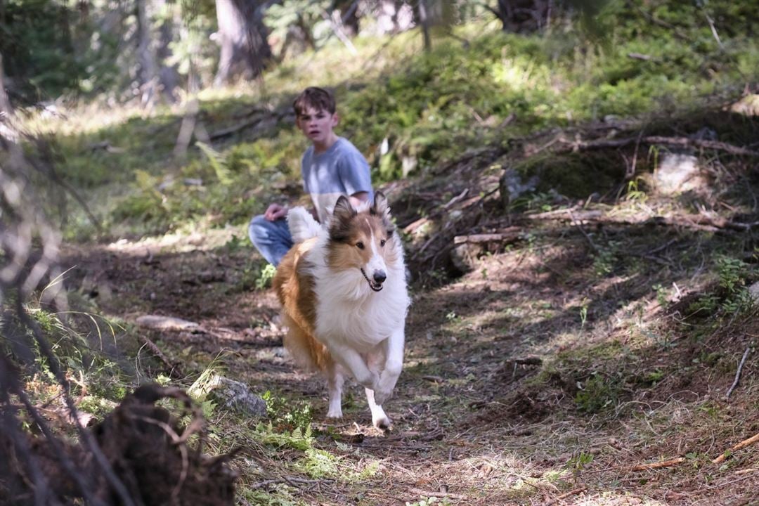 Lassie (Una nueva aventura) : Foto Nico Marischka