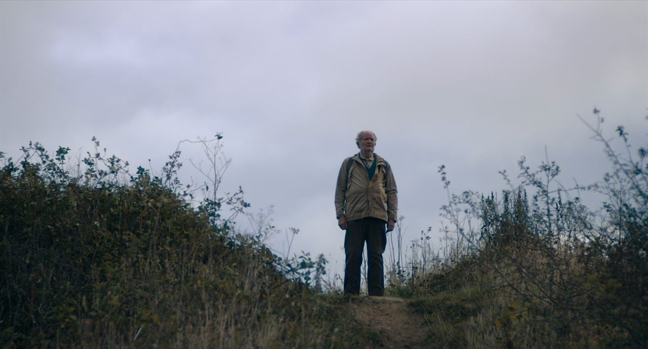 El viaje de Harold : Foto Jim Broadbent