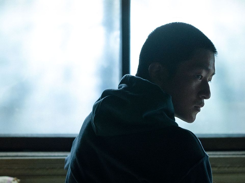 La fragilidad del hielo : Foto