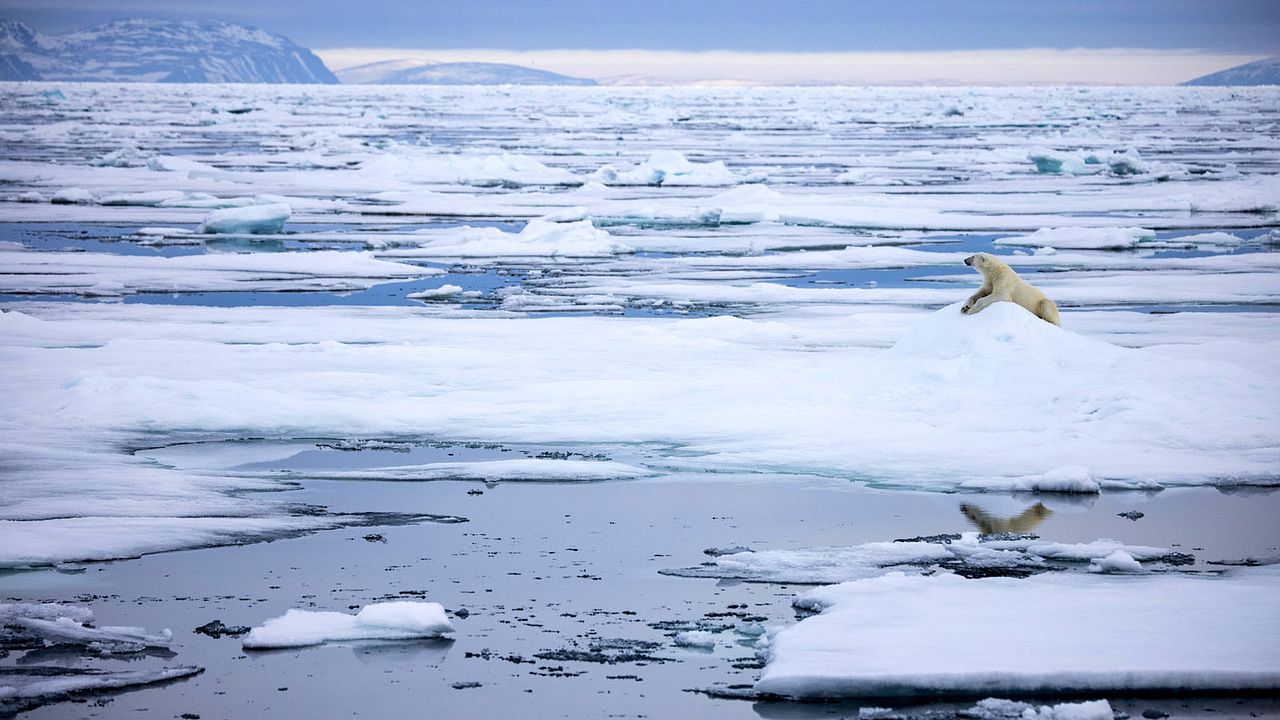 Nuestro planeta : Foto