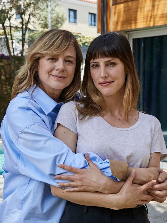 Desmontando un elefante : Cartel