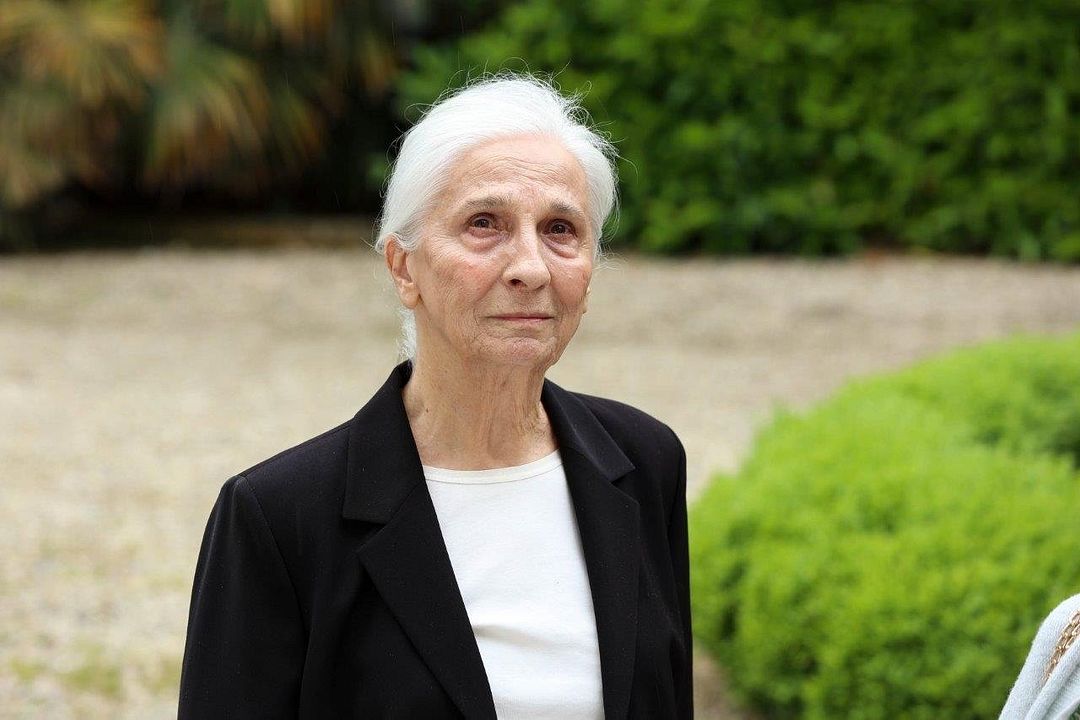 La luz de mi vida : Foto