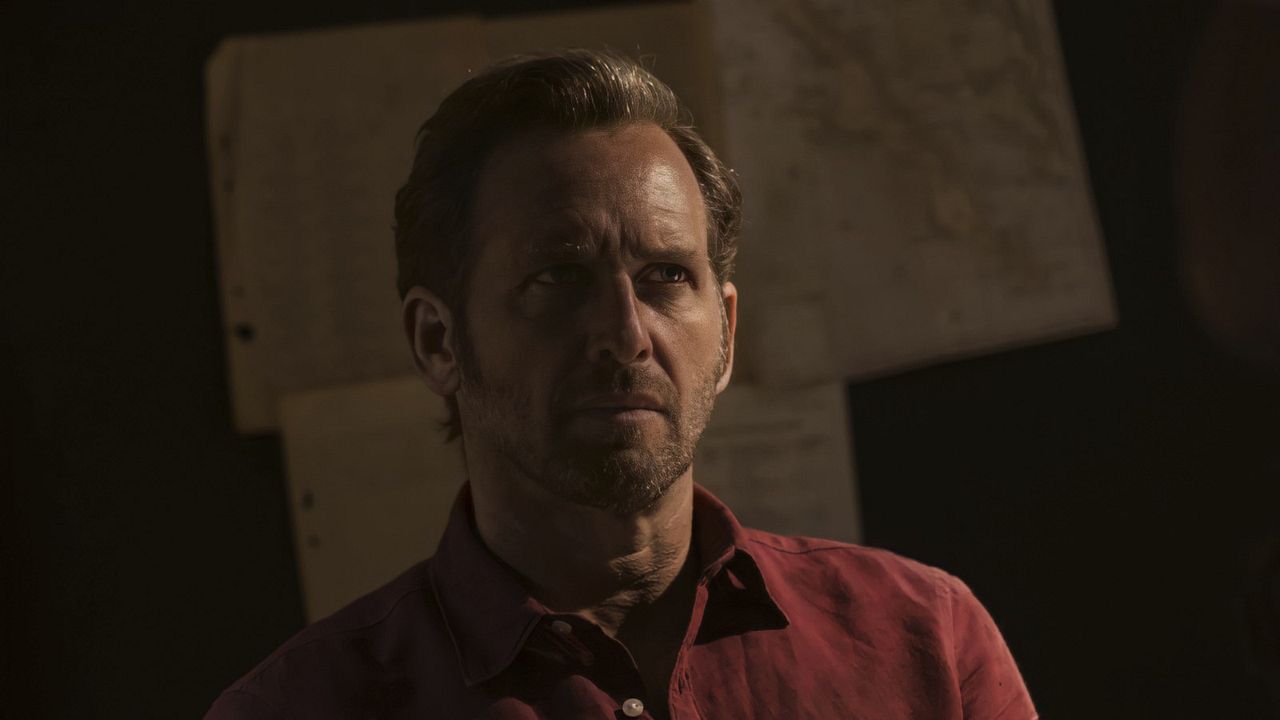 Tiburón negro : Foto