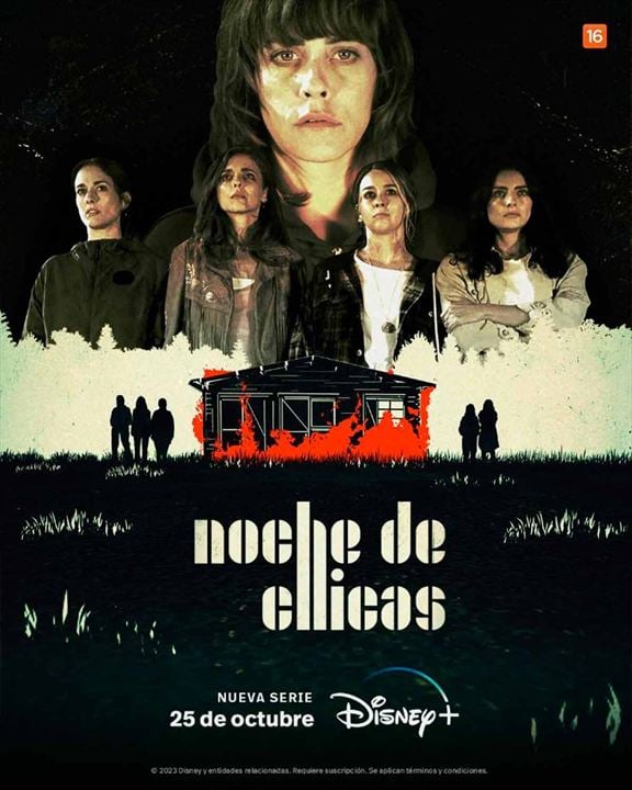 Noche de Chicas : Cartel