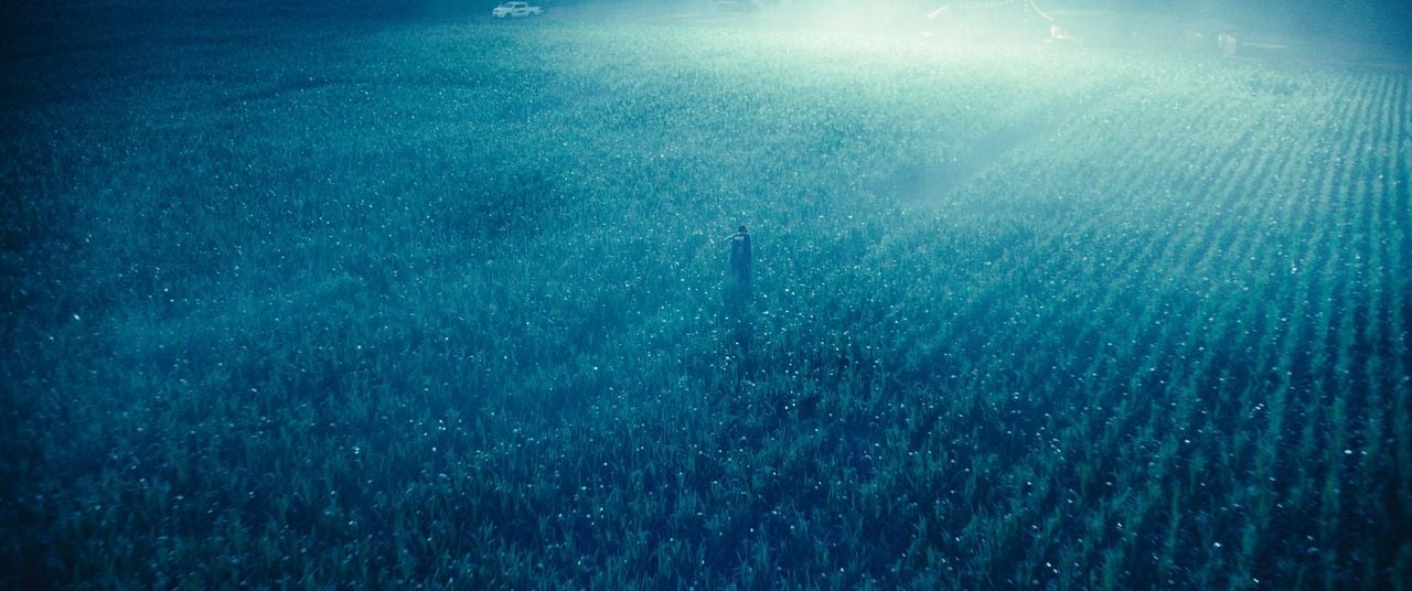 El reino animal : Foto