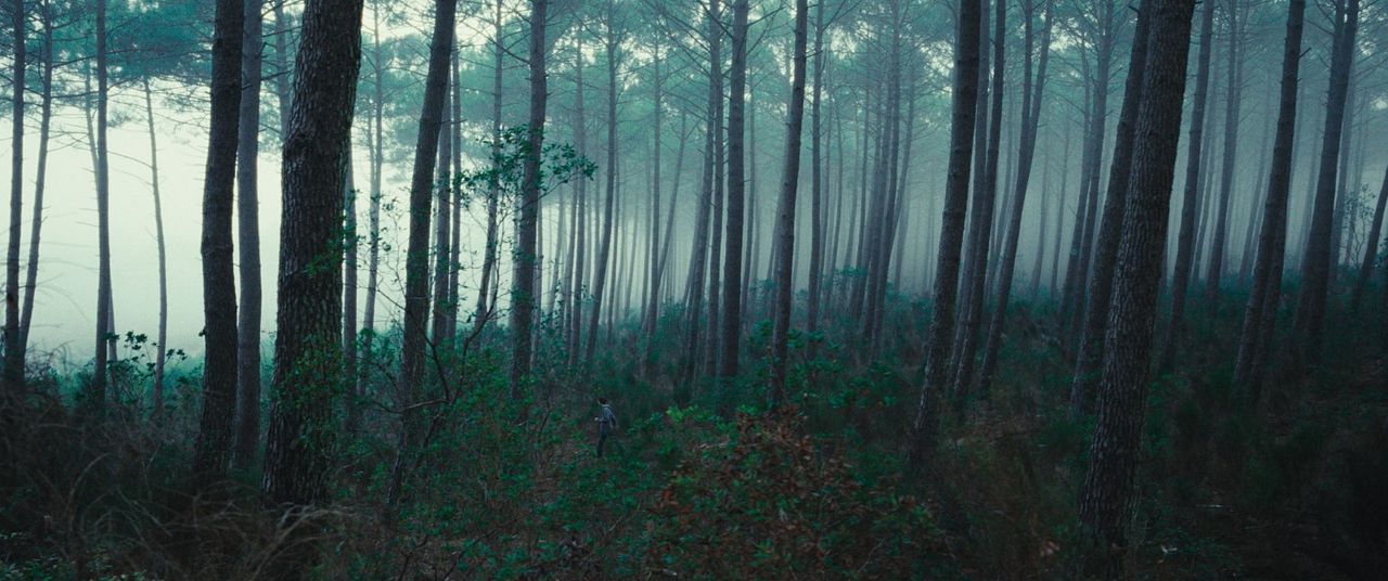 El reino animal : Foto