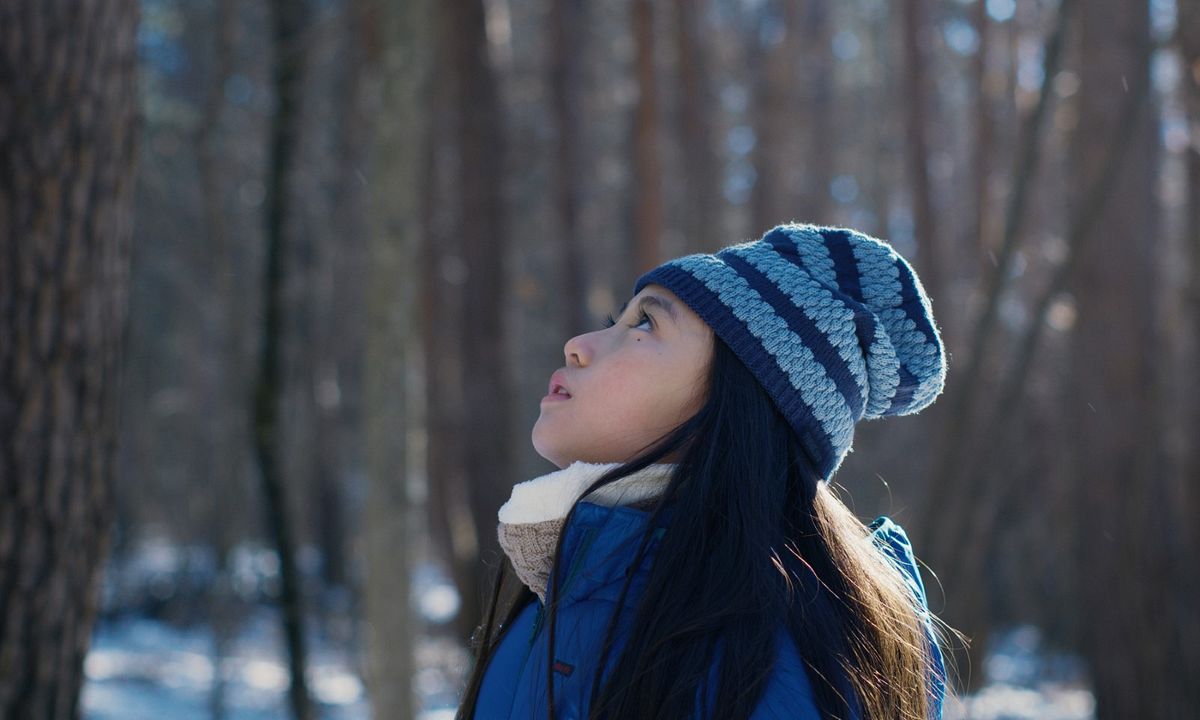 El mal no existe : Foto