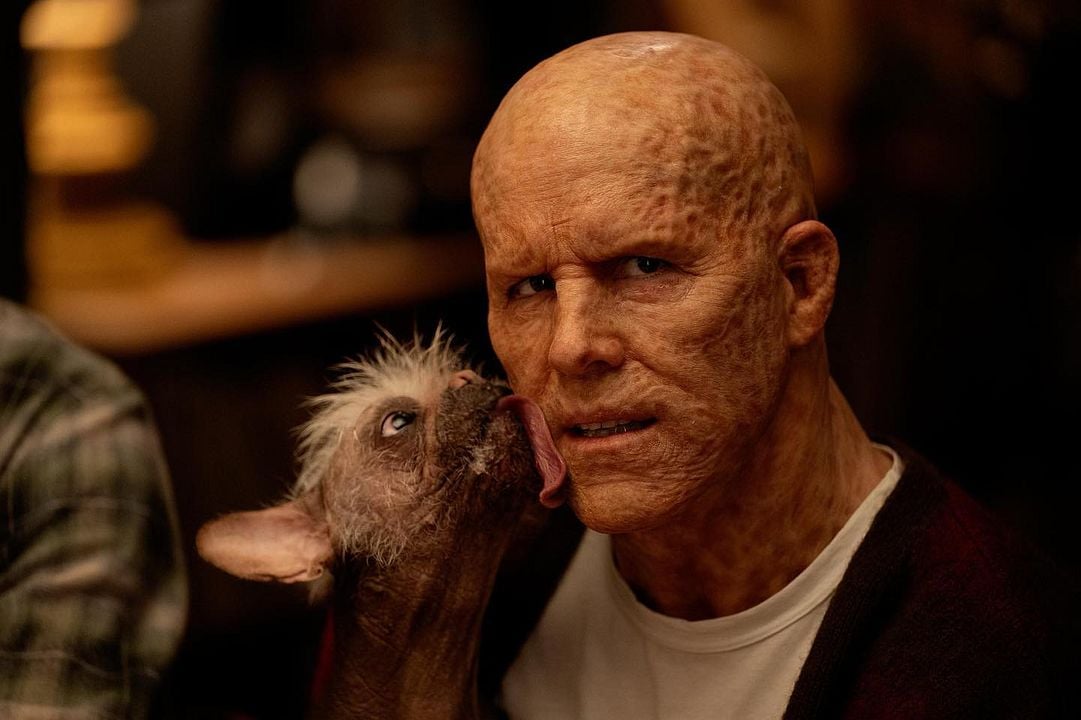 Deadpool y Lobezno : Foto Ryan Reynolds