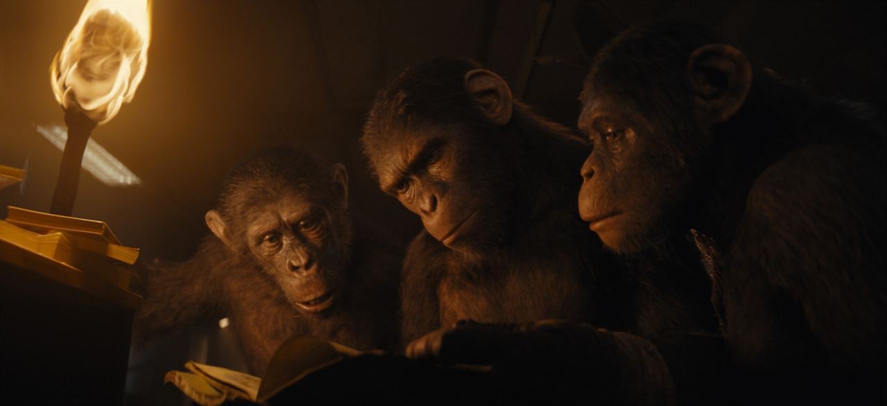 El reino del planeta de los simios : Foto
