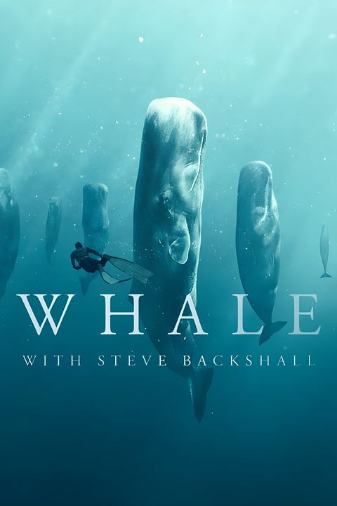 Ballenas con Steve Backshall : Cartel