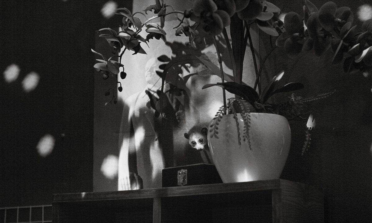 Cu Li nunca llora : Foto