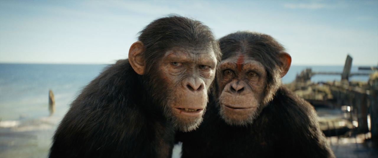 El reino del planeta de los simios : Foto