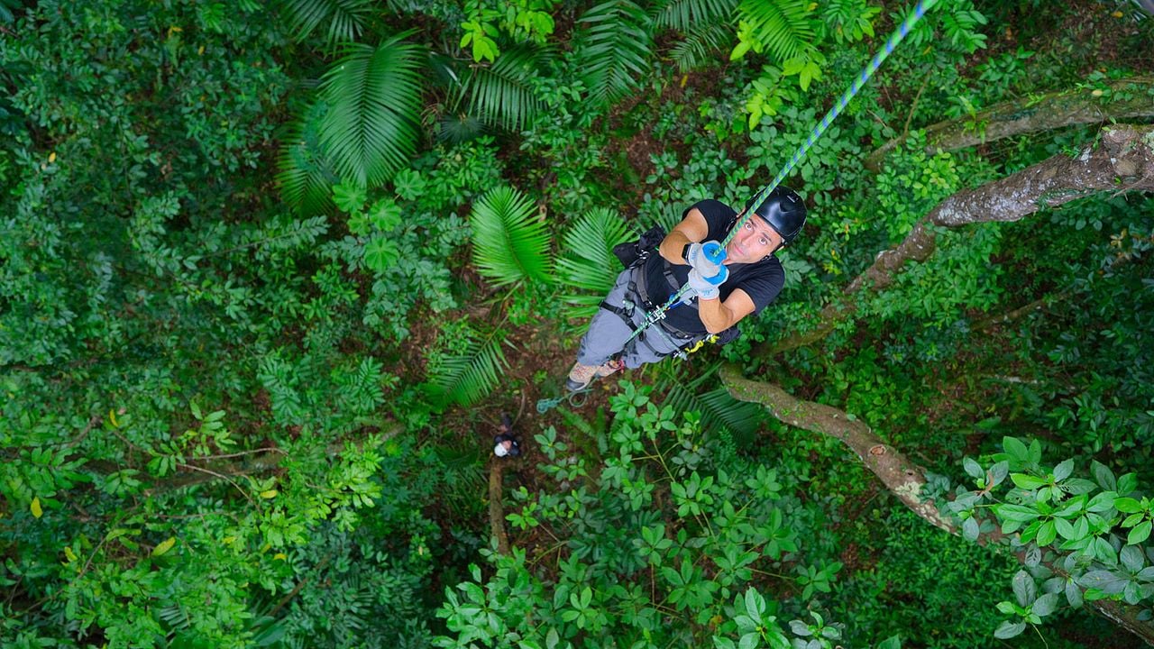 Sonidos terrestres : Foto