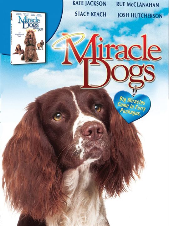 Miracle Dogs : Cartel