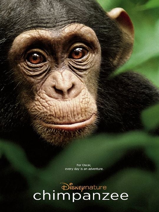 Chimpancés : Cartel