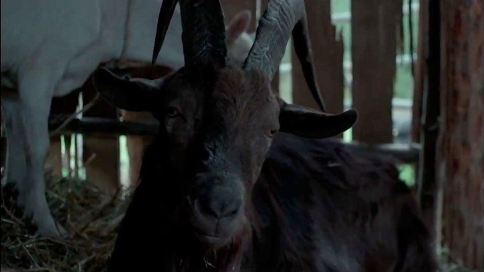 Tráiler de la película La bruja - La bruja Tráiler VO - SensaCine.com