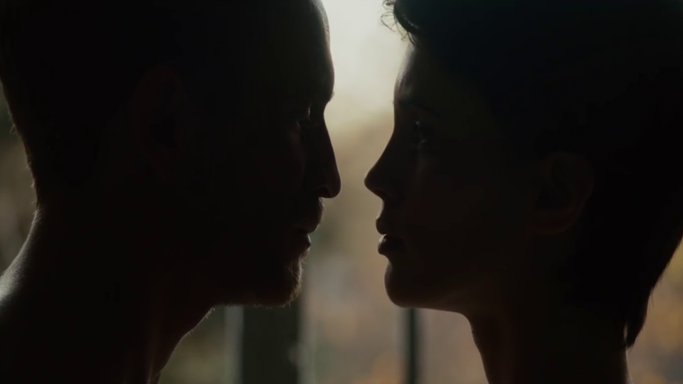 Teaser de la película El amante doble - El amante doble Teaser VO - SensaCine.com